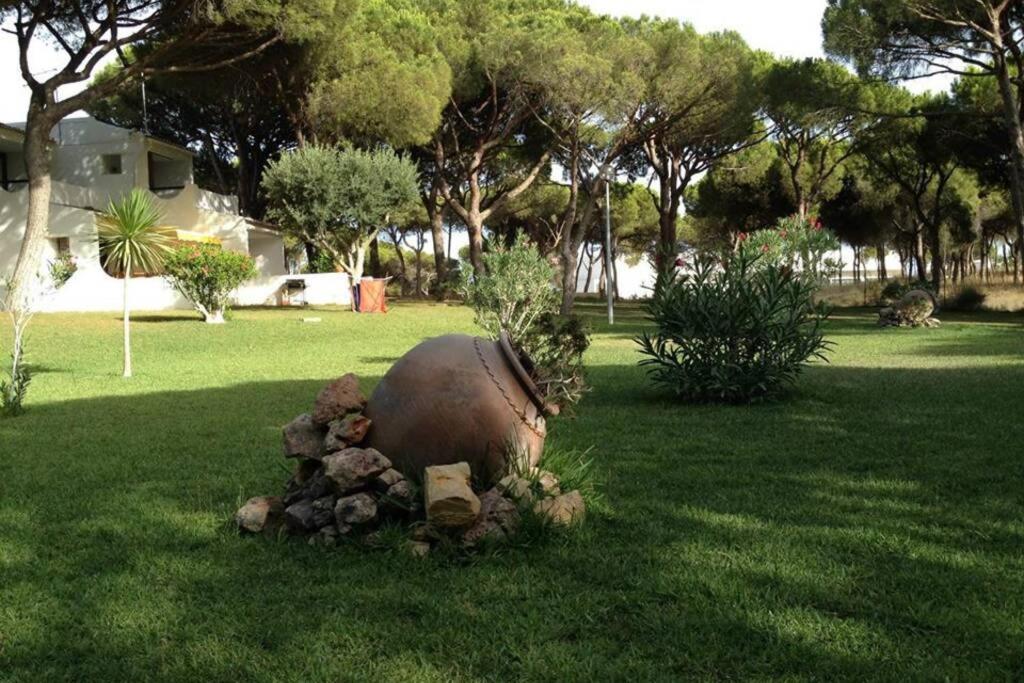 Buganvilia Praia Da Falesia Appartement *